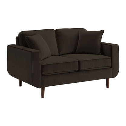 Mid-Century Modern Chocolate Hue Velvet Upholstered 1pc Loveseat with 2 Pillow Classic Living Room Furniture Solid Wood