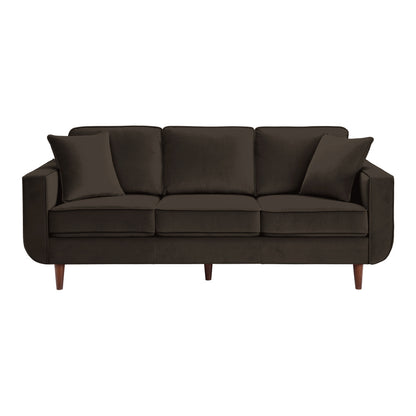 Mid-Century Modern Chocolate Hue Velvet Upholstered 1pc Loveseat with 2 Pillow Classic Living Room Furniture Solid Wood