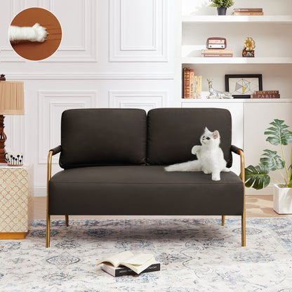 Small Sofa Seater Pet Friendly Fabric Upholstered Loveseat 2-seater Couch with Removable Back Cushion and Metal Leg,